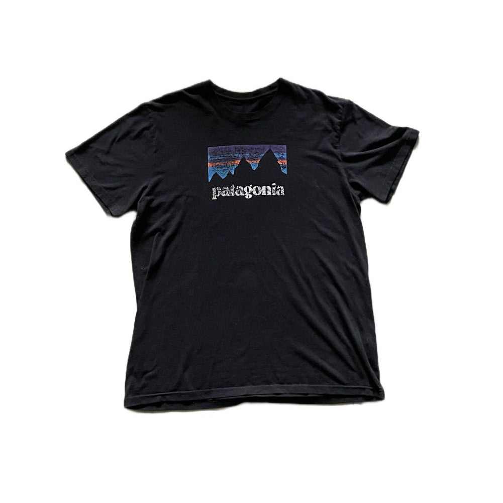 Patagonia Faded tee