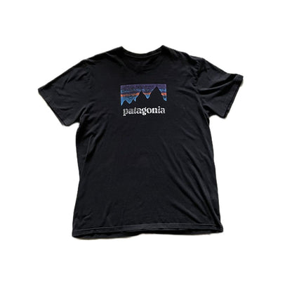 Patagonia Faded tee