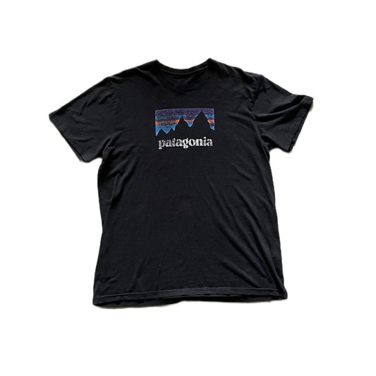 Patagonia Faded tee
