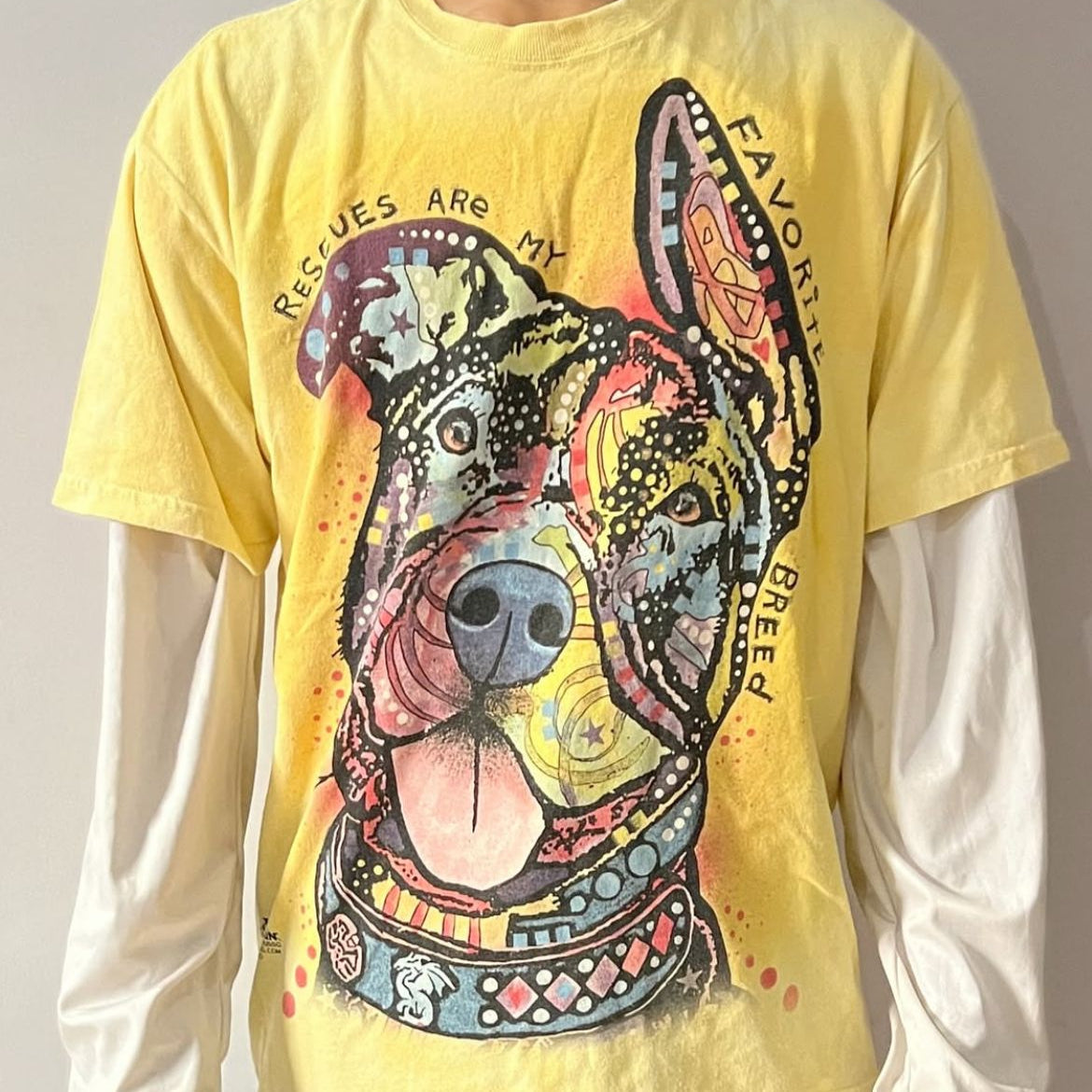 The Mountain Graphic Printed Tee